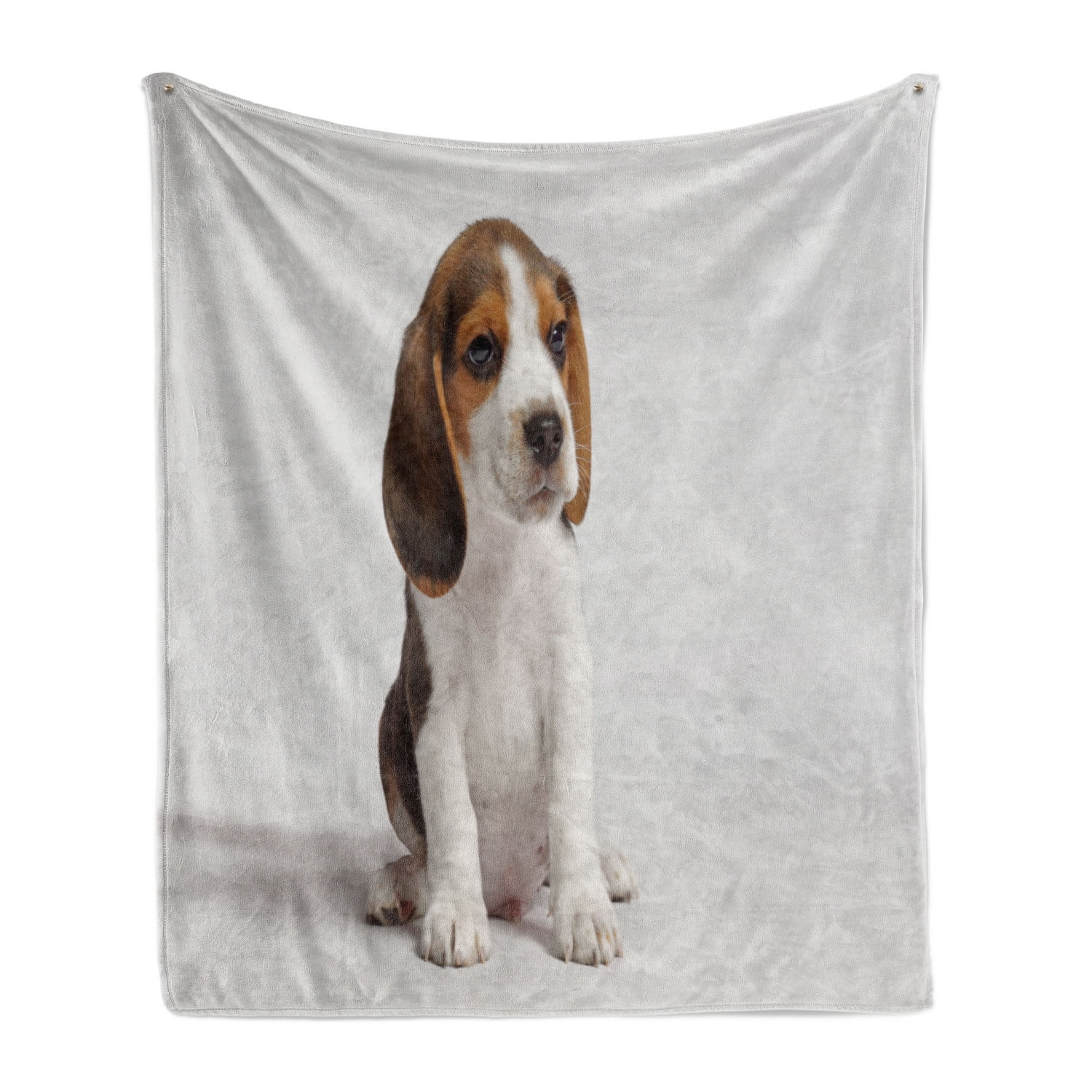 dog scent blanket