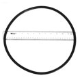 thumbnail image 2 of Pentair 356780 O-Ring Seal Plate Replacement EQ-Series Commercial Plastic Pump, 2 of 2