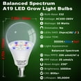 thumbnail image 5 of Alide E12 Candelabra Base LED Grow Light Bulb, Full Spectrum Indoor Plant Light Bulb, 12W, Pack of 3, 5 of 7