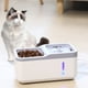 thumbnail image 5 of Fuente de agua para gatos 2 en 1, cuenco para comida, fuente de agua segura para mascotas, 5 of 6