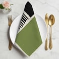 thumbnail image 2 of Sage Green Black Cloth Napkins, Farmhouse Striped Modern Abstract Art Washable and Reusable Dinner Napkins Set of 2, Table Napkin for Kitchen Party Birthday Wedding Hotel Housewarming 20"x20", 2 of 9