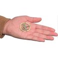 thumbnail image 4 of Brooch Or Necklace The Katniss Everdeen Cosplay Prop Rep Mockingjay, 4 of 5