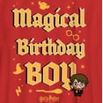 thumbnail image 2 of Boy's Harry Potter Magical Birthday Boy Icons Graphic Tee Red Small, 2 of 4