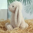 thumbnail image 4 of 9.8" Soft Stuffed Easter Bunny Plush Toy, Cute Floppy Eared Rabbit Pillow, Sweet Plushie for Easter Basket Stuffers & Spring Home Decor, Perfect Gift for All Ages (Creamy Oatmeal Beige), 4 of 8