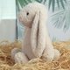 thumbnail image 3 of Juguetes de peluche de conejito de Pascua de 9,8 pulgadas, color verde salvia, peludos y holgados, animales de peluche de conejito de color sólido, peluches de eucalipto difusos para decoración,Beige, 3 of 8