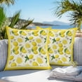 thumbnail image 2 of Outdoor Waterproof Pillow Covers Pack of 2, Yellow Lemon Floral Leaf Summer Fruit Farmhouse Pastoral Decorative Throw Pillowcases Cushion Covers for Garden Patio Tent Sofa Couch, 18x18 inch, 2 of 8
