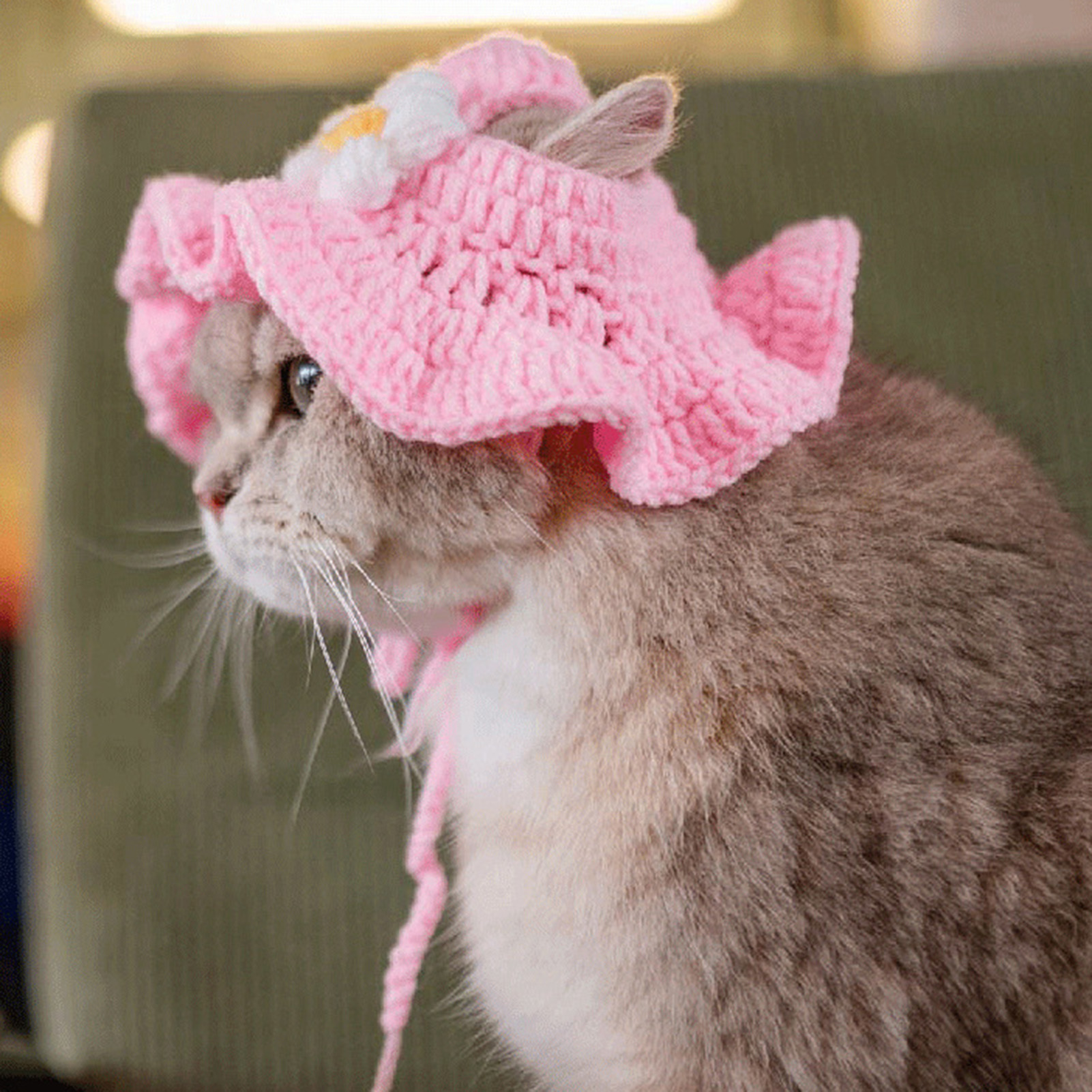 小物 ANDWANG Fluffy cat knit hat andwang Fluffy cat knit hat