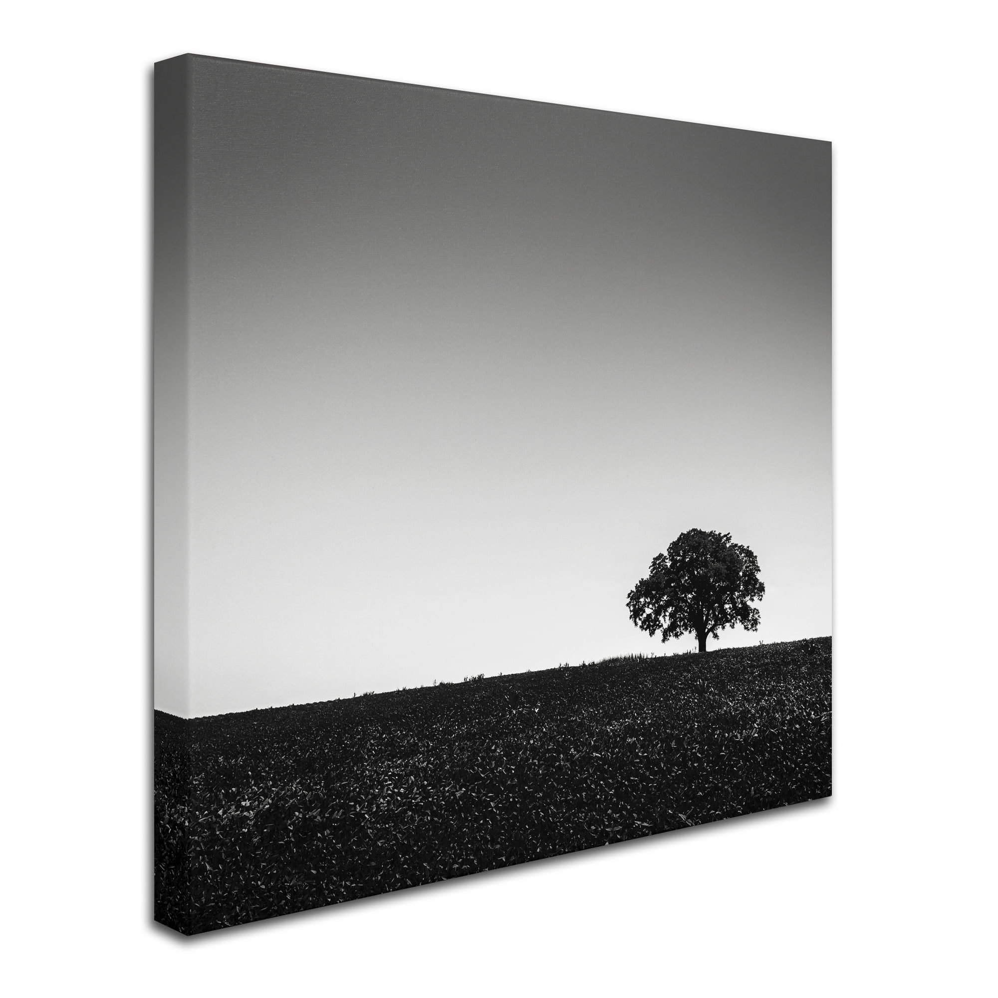 Trademark Fine Art "One Tree Hill" Canvas Art by Dave MacVicar