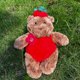 thumbnail image 5 of Jellycat Bartholomew Bear Strawberry Plush Toy-11.02Inch-Valentine's Day Gift, Birthday Gift, 5 of 8