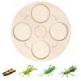 thumbnail image 2 of Cricket Life Cycle Of A Growth Stage Model Educational Plant Growth Cycle Toy, 2 of 5