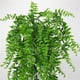 thumbnail image 3 of Billuyoard Simulación de hierba de helecho, planta verde, helecho Artificial, hojas persas, flores, plantas colgantes de pared, decoración de tienda de Decoración del hogar Billuyoard HA017865-00, 3 of 5