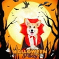 thumbnail image 6 of Halloween Pet Vampire Cape for Dogs & Cats Bat Wing Cloak with Adjustable Strap Soft Polyester Witch Wizard Apparel for Small Medium Pets Puppy Kitten Halloween Party Supplies, 6 of 6