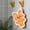 Orange, variant on Anhility Easter Hanging Hand Towel with Loop, Cute Easter Bunny Design,Super Soft and Absorbent, Quick Drying for Easter Party Kitchen Bathroom, 8.3"x7.1", Blue