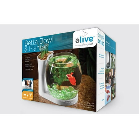 Elive, .75 Gallon Betta Bowl Aquarium Kit & Planter, White
