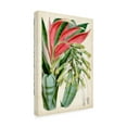 thumbnail image 2 of Trademark Fine Art 'Tropical Gems III' Canvas Art by Curtis, 2 of 3