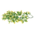 thumbnail image 4 of Plantas de Repiso de Mirada Natural Sunnimix Terrarios Hojas de Plástico 30x12cm Rama de vid para reptiles, 4 of 8