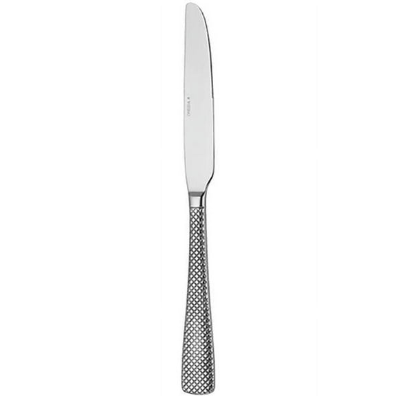 Oneida  Jade Stainless Steel Dinner Knife