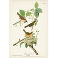 thumbnail image 2 of Audubon, John James 23x32 Black Ornate Wood Framed with Double Matting Museum Art Print Titled - Pl. 23 Yellow-breasted Warbler, 2 of 4