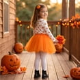 thumbnail image 7 of Girls Princess Tutu Skirt Layered Tulle Ballet Skirt, Elastic Waist Fluffy Soft Tutu, Toddler Kids Dance Dress Up Costumes, 7 of 7