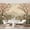 Color 4, variant on Wall Mural Peel and Stick Urban Grunge Wall Graffiti Weathered Patterns Self-Adhesive Wallpaper Removable Wall Decal Wall Sticker Home Decor for Living Room Bedroom 69"x96"