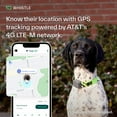 Whistle Go Explore Dog GPS Tracking Device and Pet Health Monitoring