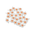 thumbnail image 4 of LED Grow Chip Full Spectrum, 25Pcs Full Spectrum 3W LED Grow Light Chips for Plant Growth, 4 of 4