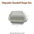 thumbnail image 5 of Genius Mushroom LLC Eco-Friendly Clamshell, Bagasse Box, 500-Count, 5 of 5