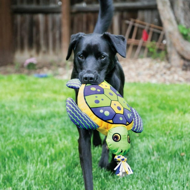 Kong turtle top dog toy
