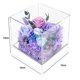 thumbnail image 2 of Decoración de flores eternas flores secas de rosas regalos navideños regalos de cumpleaños para familiares y amigos, 2 of 5