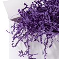 thumbnail image 4 of Relleno de Papel Cortado en Zigzag Mefleet 0.9 kg Morado (2 lb), 4 of 7