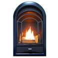 Ventless Fireplace Insert Thermostat Control Arched Door 15,000