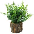 thumbnail image 1 of Fake Plant Plant Realistic: Wooden Pot Artificial Plant Desktop Plant Decoration, 1 of 3