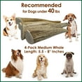 thumbnail image 6 of Deluxe Naturals 4-Pack Medium Whole Elk Antler Dog Chews, Natural Long-Lasting Chew Treat for Small and Medium Dogs, 6 of 9