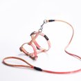 thumbnail image 2 of Pet Cat Soft Harness Leash Set Adjustment Buckle Traction Rope Chest Sling For Running Walking, 2 of 7