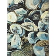 thumbnail image 3 of Oyster shells - Toile 36"x48 Pouces - Impression à la Demande, 3 of 5