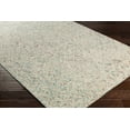 thumbnail image 3 of BoutiqueRugs Lysander Traditional Area Rug - Light Sage, Blue, Beige - 5' x 7'6", 3 of 5