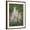 Brown Frame, variant on Art.com Cheetah (Acinonyx Jubatus) Family, Ndutu, Ngorongoro Conservation Area, Tanzania Photographic Print, 12" x 16"