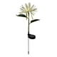 thumbnail image 1 of Lámpara solar de jardín Epiphyllum, lámpara LED de inserción para suelo, para decoración de patio y exterior, 1 of 3