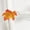 D, variant on Moocorvic Christmas And Thanksgiving Decorations Light Up Autumn Garlands Home Indoor And Outdoor Home Decorations Christmas Decorations Party And Thanksgiving Gifts Wate