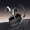 Black, variant on Wireless Earbuds, Bluetooth Headphones 5.4 HiFi Stereo, Wireless Earbuds with ENC Noise Cancelling, in-Ear Headphones, Touch Control