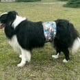 thumbnail image 7 of BLIWINPT Reusable Dog Diapers Male Premium Belly Band for Male Dogs Washable Belly Bands for Male Dogs Cute Patterns 5 Pack (M, 11” - 14” Waist), 7 of 7