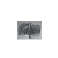thumbnail image 1 of Brosse à Fil Plat Ronde de 8 Po, 1 of 1