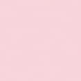 thumbnail image 1 of bazzill Bazzill Basics Paper SMOOTH12-708, 1 of 1