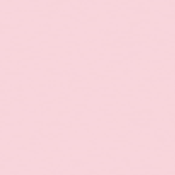 bazzill Bazzill Basics Paper SMOOTH12-708