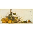 thumbnail image 3 of Pinto, Patricia 14x9 Black Modern Framed Museum Art Print Titled - Racimo de Cocos III, 3 of 5