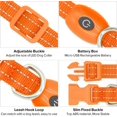 thumbnail image 3 of Collar LED Dog Glow BSEEN recargable por USB para mascotas pequeñas, 3 of 16