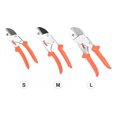 thumbnail image 4 of Tree Pruning Shears, Bonsai Scissors, Fruit Scissors,, 4 of 5