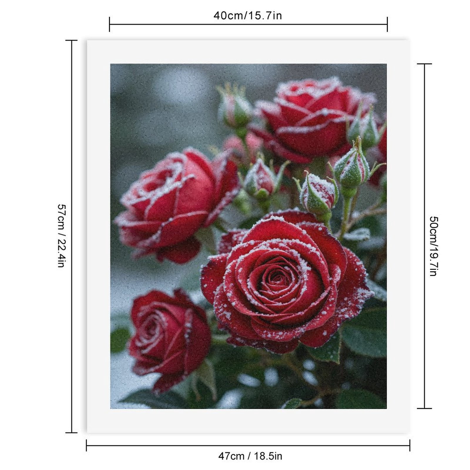 Paint by Numbers Kit for Adults, Frosty Red Roses Blooms Paint by Numbers, Easy Paint by Numbers Kit for Adults Beginner, DIY Adult Paint by Number Kits on Canvas, Home Decor