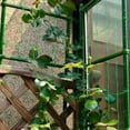 thumbnail image 1 of FOMIYES 12Ud De Soporte Para Plantas Conectores Para Jardín Y Enredaderas, 1 of 6