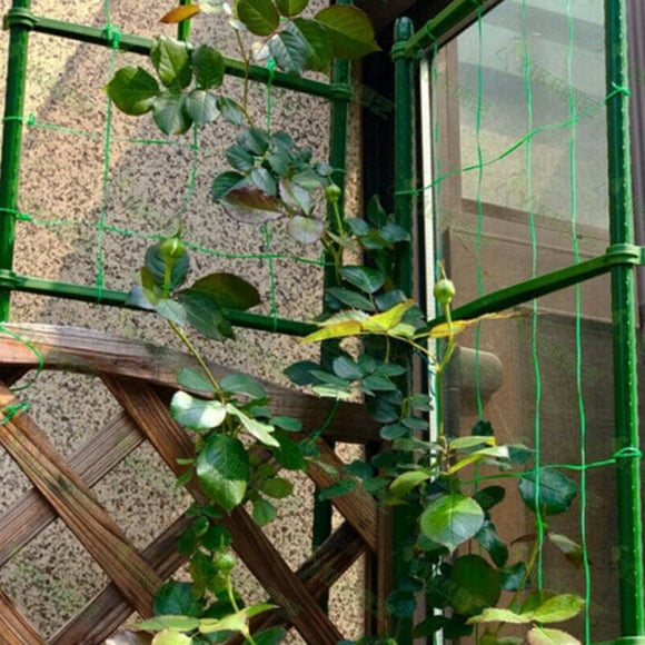 FOMIYES 12Ud De Soporte Para Plantas Conectores Para Jardín Y Enredaderas